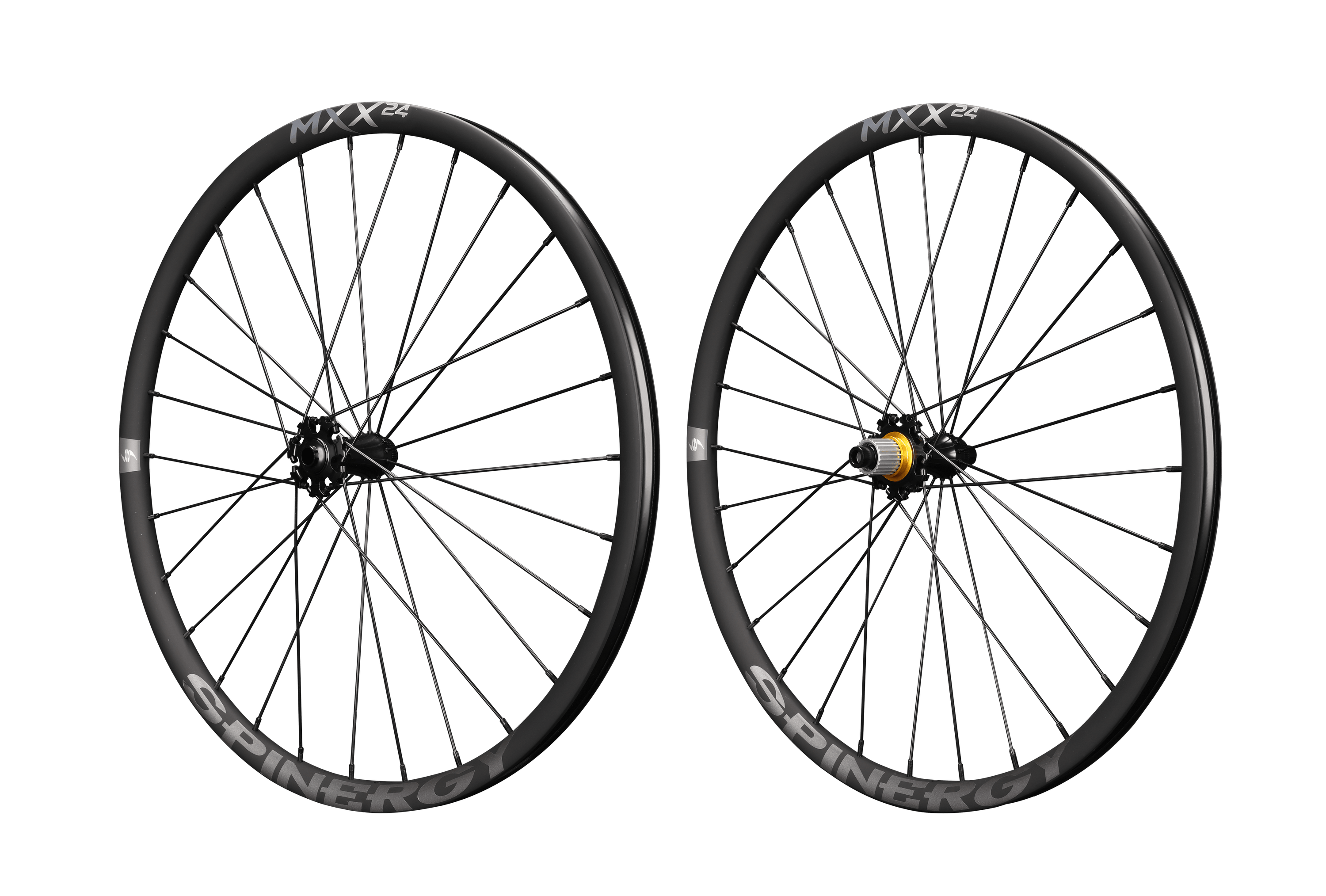 MXX 24